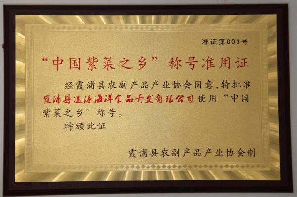 公司荣誉