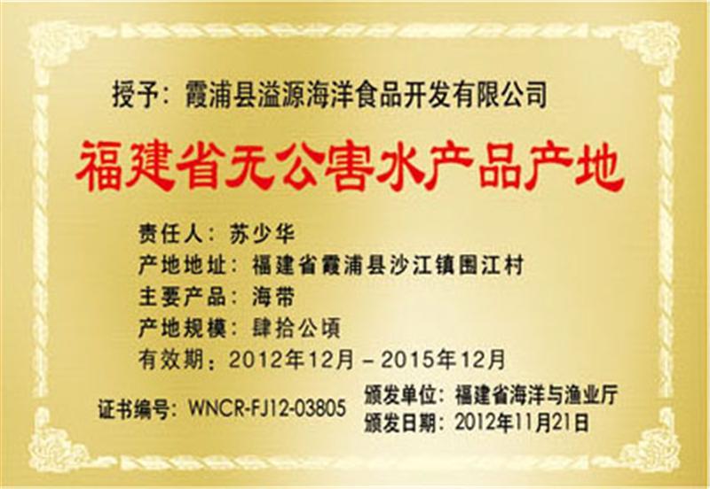 公司荣誉