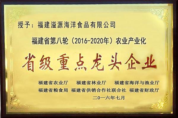 公司荣誉